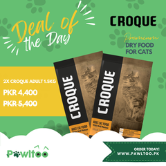 Deal of the Day - Croque Adult - 2x1.5KG