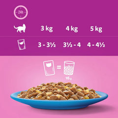Whiskas 1+ Fish Favorites in Jelly - 85G