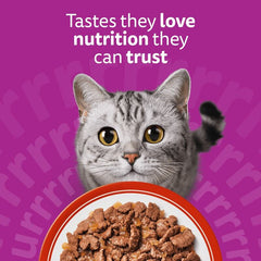 Whiskas 1+ Meaty Meals in Jelly - 85G
