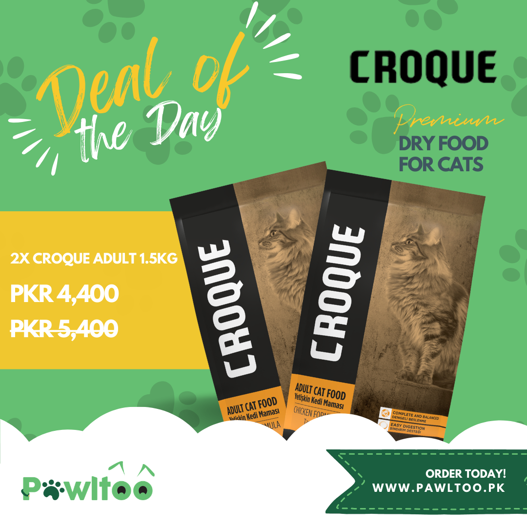 Deal of the Day - Croque Adult - 2x1.5KG