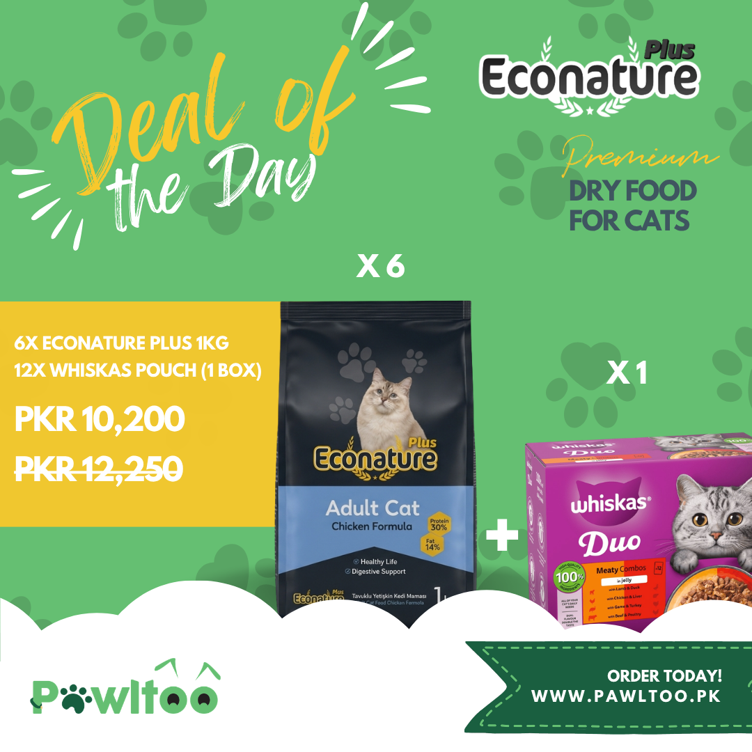 Deal of the Day - Econature Plus & Whiskas