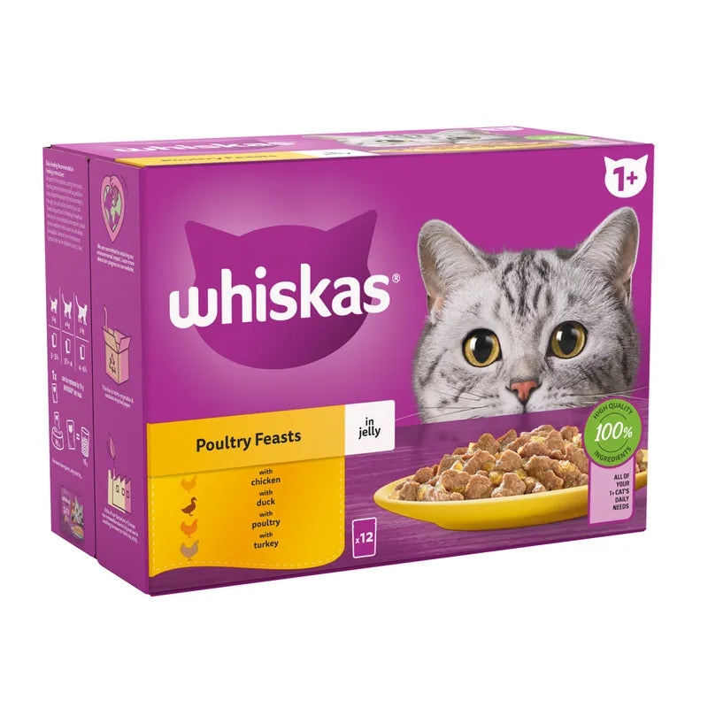 Whiskas 1+ Poultry Feast in Jelly - 85G
